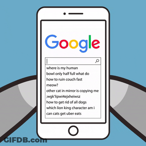 Bowling Search Engine Google Meme GIF