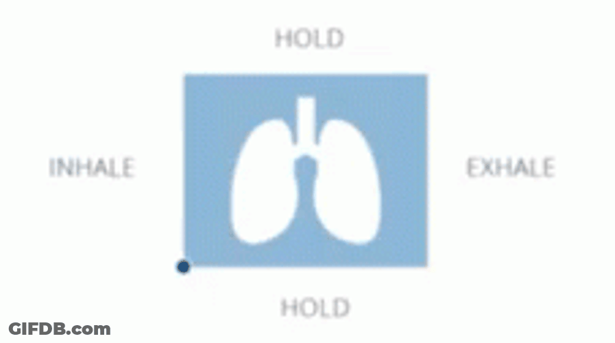 Box Breathing Lung Guide GIF