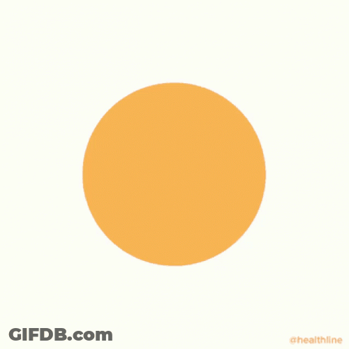 Box Breathing Pink Orange Circle Guide GIF