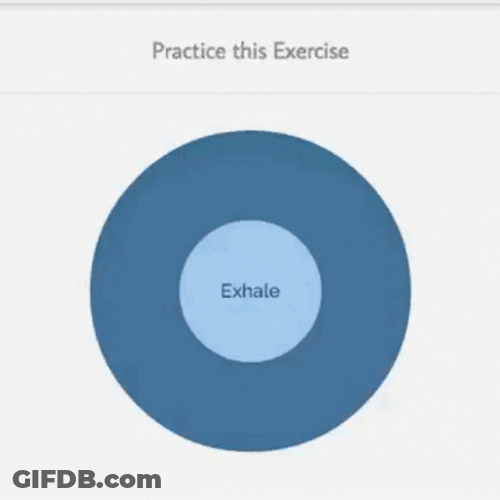 Box Breathing Practice Exercise Guide GIF