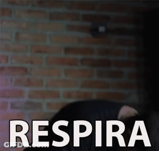 Box Breathing Respira GIF