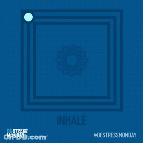 Box Breathing Traveling Circle Guide GIF