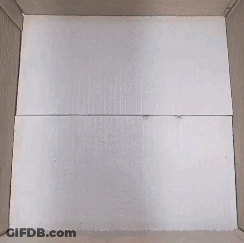 Box Filled With Pink And Blue Styrofoam GIF