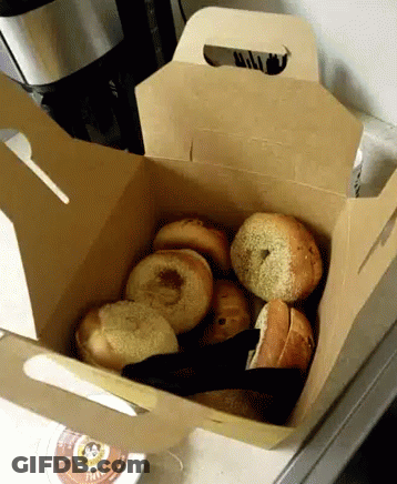 Box Of Bagels Next To K Cup GIF