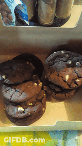 Box Of Chocolate Cookies With White Chocolate Chips GIF