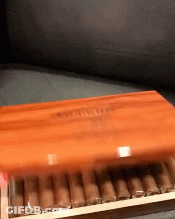 Box Of Cigars On Couch Blurred GIF