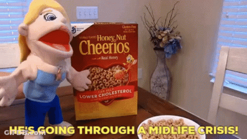 Box Of Honey Nut Cheerios GIF