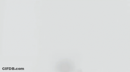 Box Saying Savage Fish Shack GIF