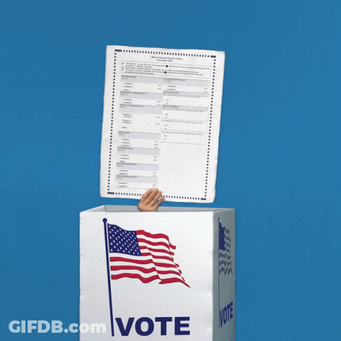 Box Saying Vote With American Flag GIF