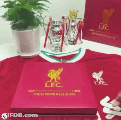 Box Saying You'll Never Walk Alone On Red Shirt GIF