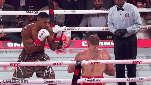 Boxer In Everlast Gloves Fighting In Ring GIF