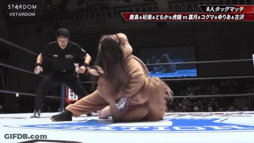 Boxer In Ring Bad Blood UFC GIF