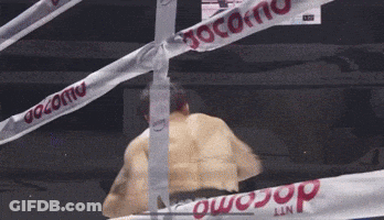 Boxer In Ring With Docomo Banner GIF