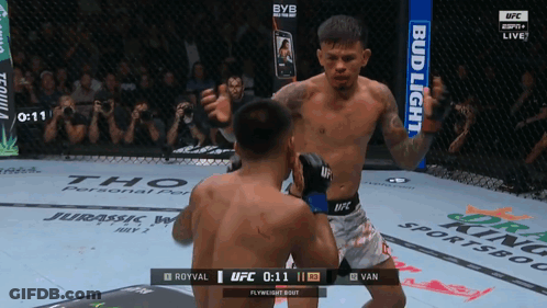 Boxers Fighting In Ring With Bud Light Banner GIF