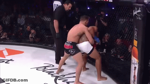 Boxers Fighting In Ring With Jumbo Shorts GIF