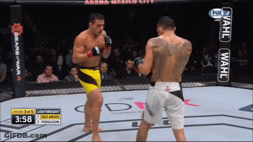 Boxers Fighting In Ring With Wahl Sign GIF