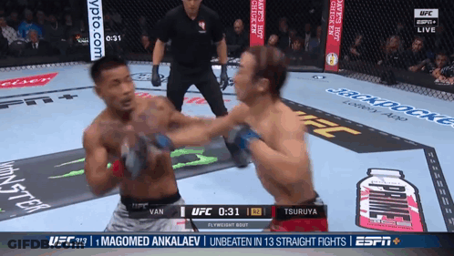 Boxers Fighting In UFC Match GIF
