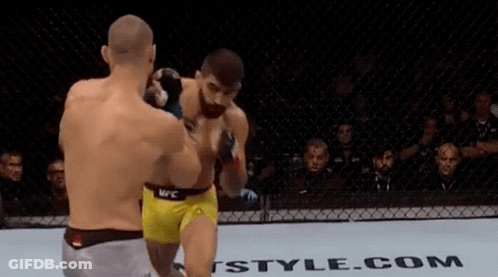 Boxers Fighting Yellow Shorts GIF