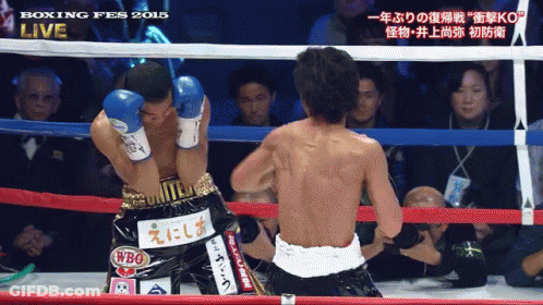 Boxers In Ring At Boxing Fes 2015 GIF