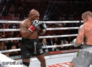 Boxers In Ring One Wearing BYU Shorts GIF