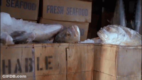 Boxes Of Fresh Seafood Stacked GIF