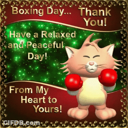 Boxing Day Cat With Red Boxing Gloves GIF