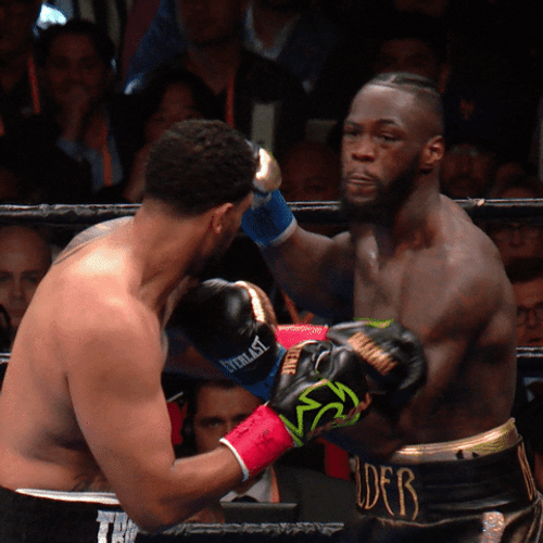 Boxing Knockout Breazeale In One Punch GIF