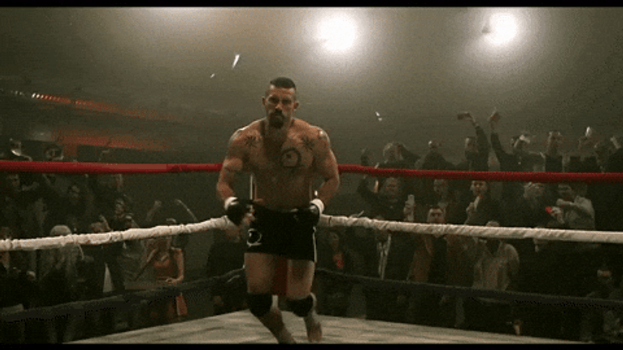 Boxing Knockout Fight Kicking GIF