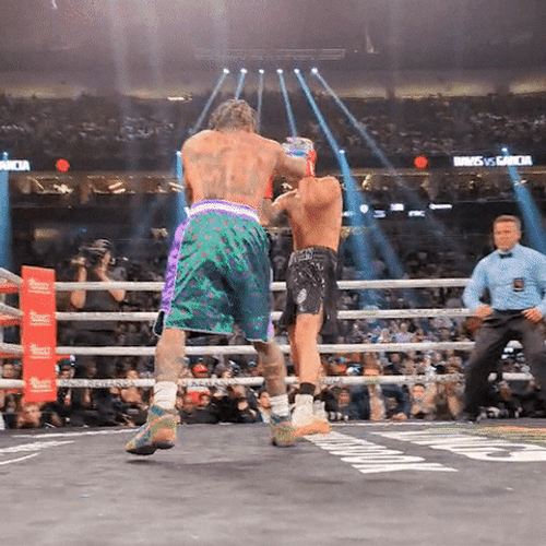 Boxing Knockout Got Slipped GIF