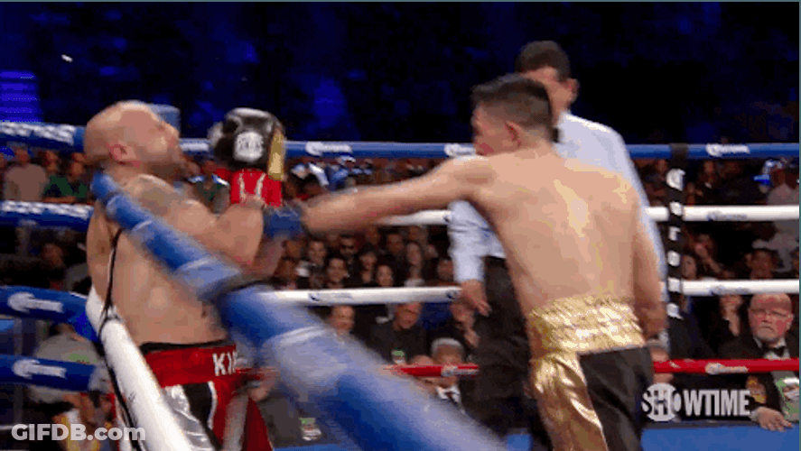 Boxing Knockout Leo Santa Cruz GIF