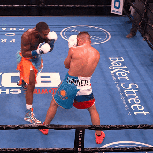 Boxing Knockout Ngannou Ko GIF