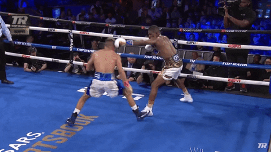 Boxing Knockout Ramirez Triumphs GIF