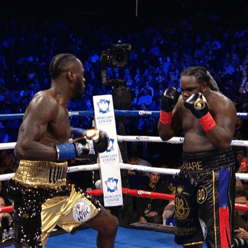 Boxing Knockout Slow Motion Fall Down GIF