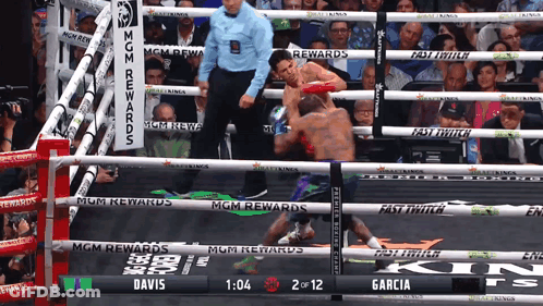 Boxing Match Between Davis And Garcia Score 2 To 12 GIF