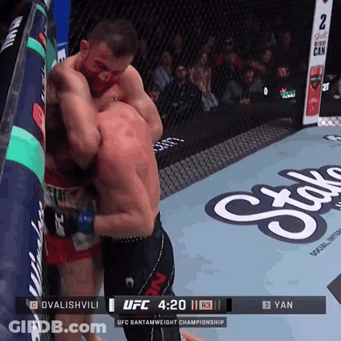Boxing Match Between Dvalishvili And Yan GIF