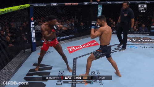Boxing Match Between Murphy And Pico With Budweiser Ad GIF