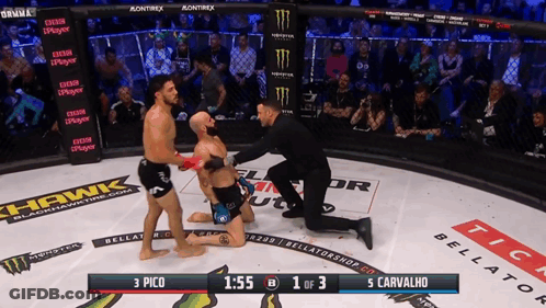 Boxing Match Between Pico And Carvalho GIF