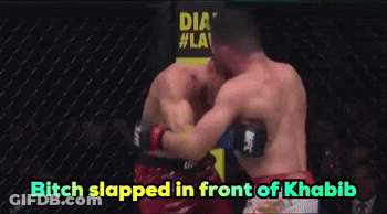 Boxing Match Bitch Slapped Khabib GIF
