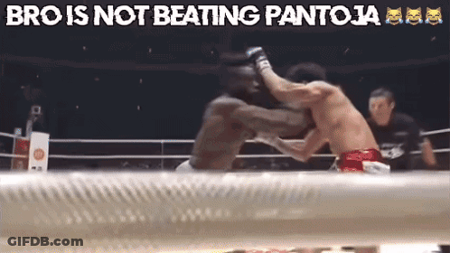 Boxing Match Bro Is Not Beating Pantoja GIF