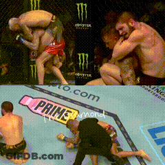 Boxing Match Collage With Prine Bottle GIF