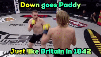 Boxing Match Down Goes Paddy Just Like Britain In 1842 GIF