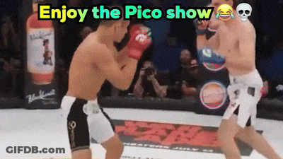 Boxing Match Enjoy The Pico Show GIF