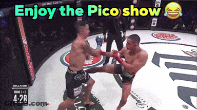 Boxing Match Enjoy The Pico Show GIF