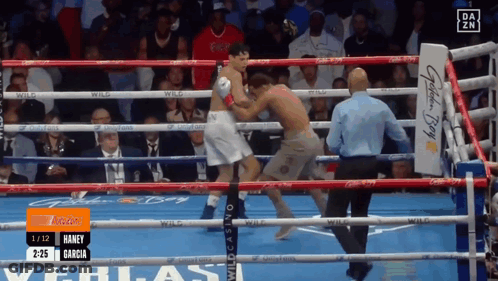 Boxing Match Haney Garcia Vs Another Boxer GIF