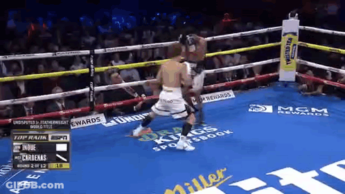 Boxing Match In Ring GIF