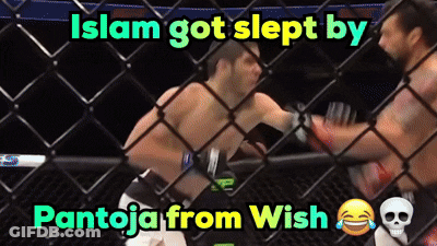 Boxing Match Islam Got Slept By Pantoja From Wish GIF