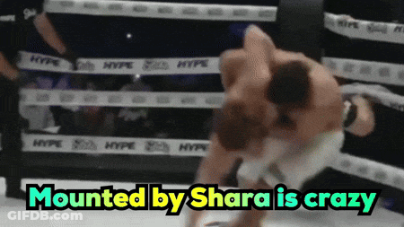 Boxing Match Mounted By Shara Is Crazy GIF