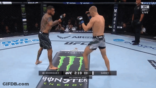 Boxing Match Rodriguez Vs Garry UFC Live GIF