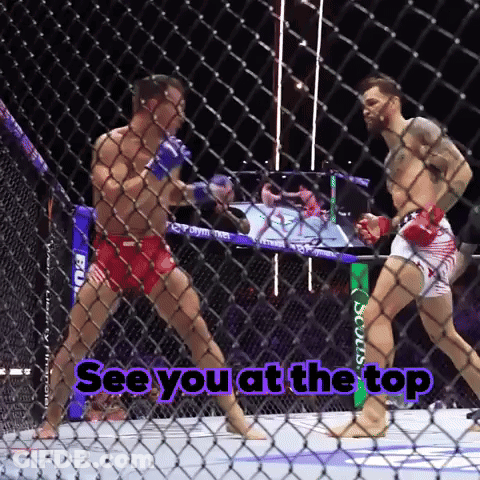Boxing Match Saying See You At The Top GIF