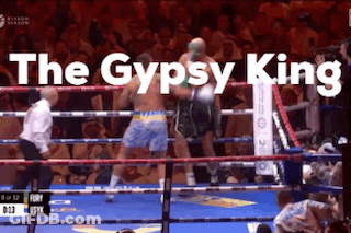 Boxing Match Saying The Gypsy King GIF